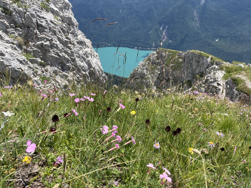 Dion - Soran 2399 m......Brenta